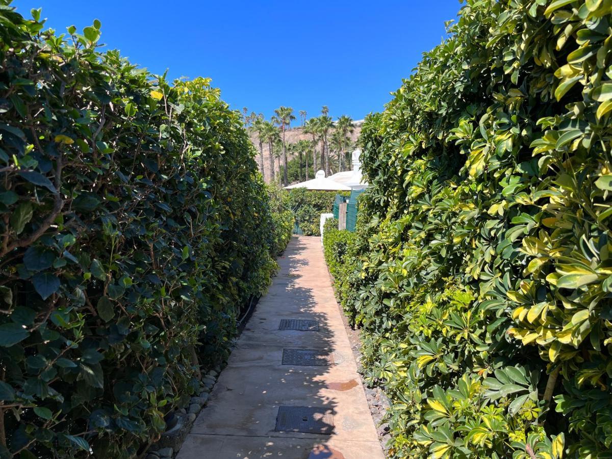 Ahtha Green Bungalow Maspalomas San Bartolomé Buitenkant foto